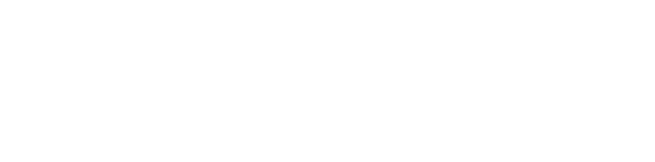 NOIR CIRCUIT